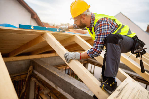 Best Roof Gutter Cleaning  in Wiggins, MS