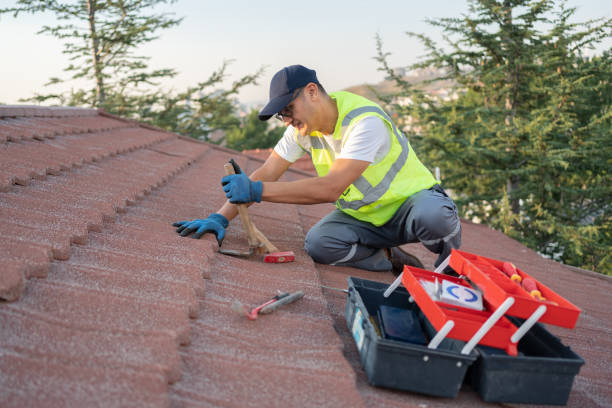 Professional Roofing Contractor in Wiggins, MS